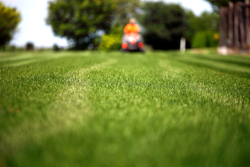 Mowing String T Services, Precision Lawn Care Landscaping Fargo Nd